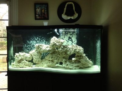 Wave Tank 2-10-12.jpg