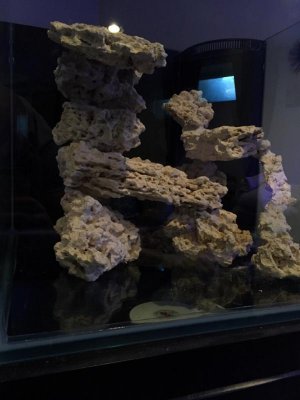 ImageUploadedByTapatalk1434239718.047422.jpg ImageUploadedByTapatalk1434239718.047422.jpg