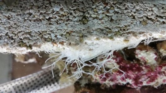 2015-06-14 01.39.33.jpg