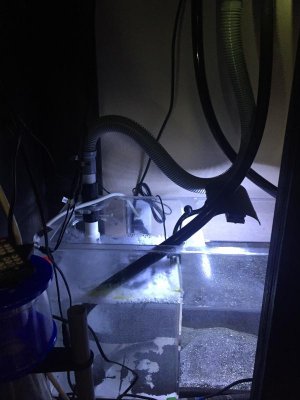 IMG_5073.jpg IMG_5073.jpg