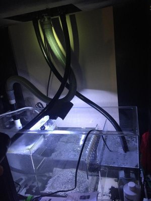 IMG_5074.jpg IMG_5074.jpg