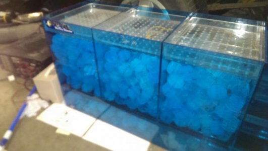 IMAG0724.jpg