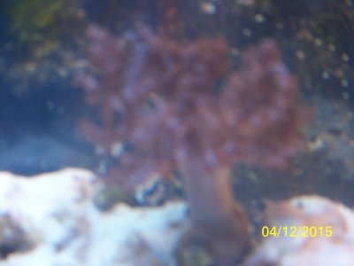 100_1185.jpg