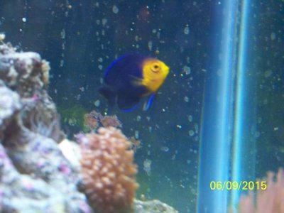100_1316.jpg
