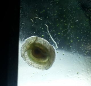 20150614_235707.jpg