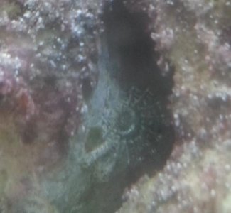20150614_235806.jpg