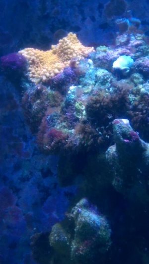 IMAG0083.jpg