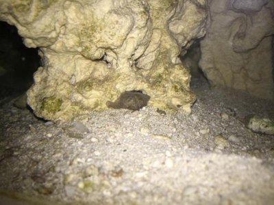 ImageUploadedByTapatalk1435038708.894368.jpg ImageUploadedByTapatalk1435038708.894368.jpg