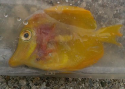 20150623_070540 (2).jpg