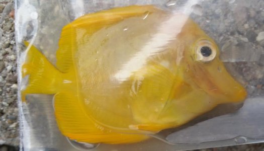 20150623_070558 (2).jpg