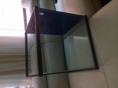 image-2.jpg