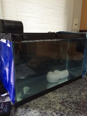 ImageUploadedByTapatalk1435181938.352127.jpg ImageUploadedByTapatalk1435181938.352127.jpg