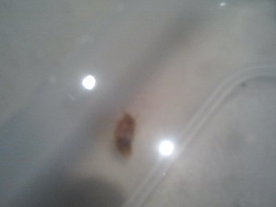 2015-06-24 19.07.10.jpg