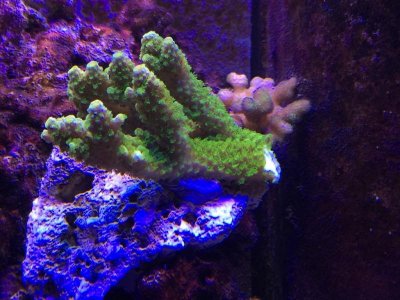 ImageUploadedByTapatalk1435290379.725375.jpg ImageUploadedByTapatalk1435290379.725375.jpg