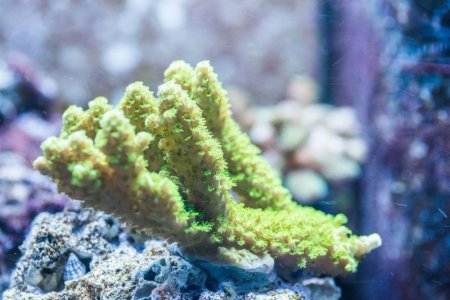 ImageUploadedByTapatalk1435290389.600704.jpg ImageUploadedByTapatalk1435290389.600704.jpg