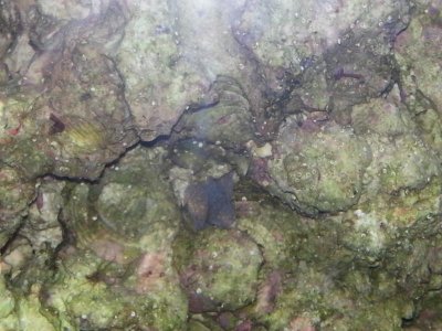 2015-06-25 21.04.20.jpg