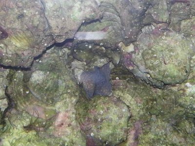 2015-06-25 21.04.40.jpg