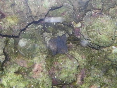 2015-06-25 21.04.50.jpg