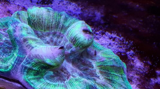 20150627_153535_016.jpg