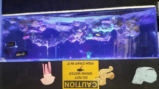 uploadfromtaptalk1435445855203.jpg uploadfromtaptalk1435445855203.jpg