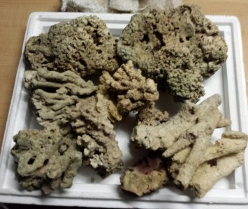 2015-07-25 23.25.36.jpg