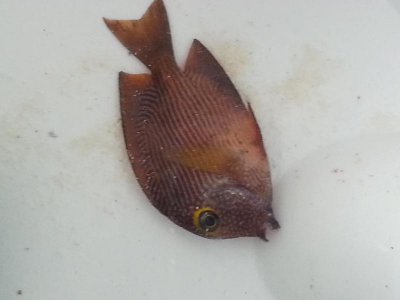 20150725_075333.jpg