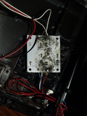 Image1.jpg