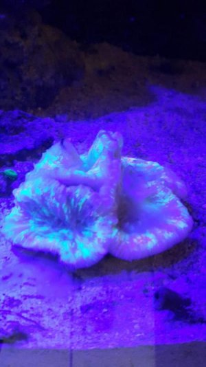 AvU3BLuI7OfqHP80e_D0AIFcVFHnXSkMA48jx9MyNmXF.jpg