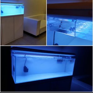 2015-07-27 23.19.45 (1).jpg