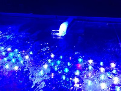 IMG_6061 (Small).JPG