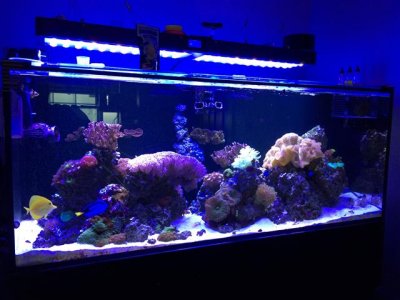 IMG_6601 (Small).JPG