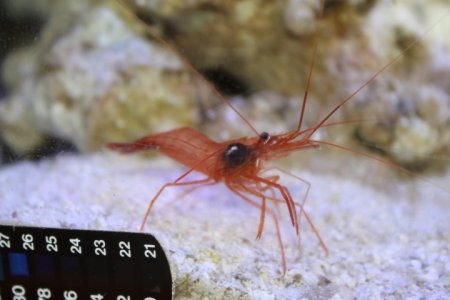 IMG_9591 (Small).JPG