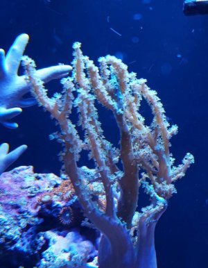 uploadfromtaptalk1435874931033.jpg uploadfromtaptalk1435874931033.jpg