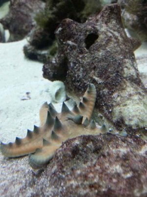20150702_222713.jpg