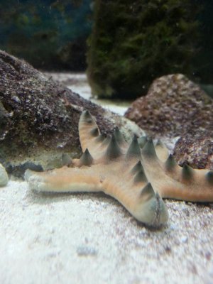 20150702_222726.jpg