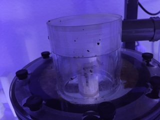 Skimmer cup 2.JPG