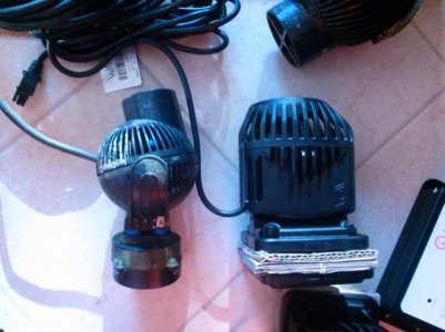 CAM01251.jpg