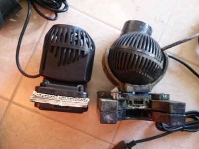 CAM01252.jpg