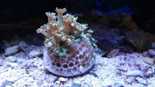 20150802_153157.jpg