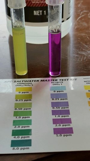 20150802_173407 (1).jpg 20150802_173407 (1).jpg