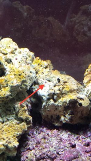 20150803_185405.jpg