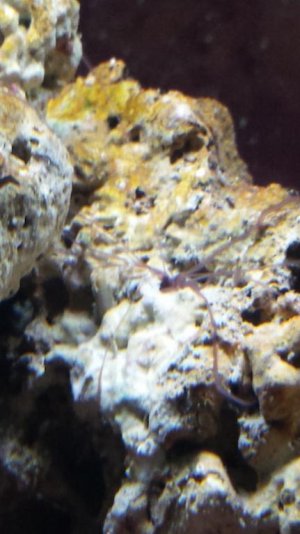 20150803_200633.jpg