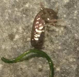 2015-08-04 15.05.37.jpg