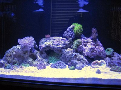 samsung pictures 004.jpg