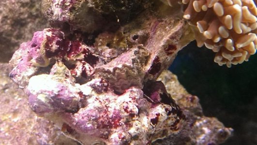 IMAG0609.jpg