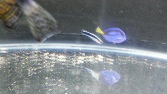 20150707_090942.jpg