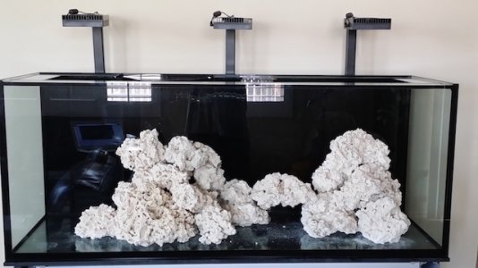 Front View With Bridge.jpeg