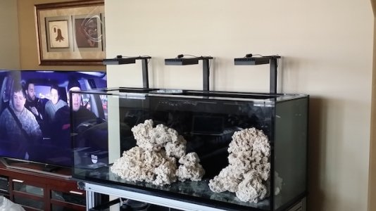 Off Angel View(2).jpeg