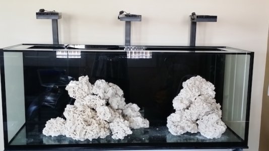 View From The Front.jpeg