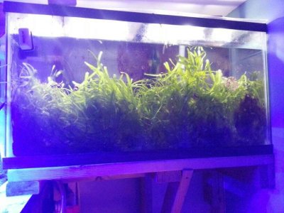 uploadfromtaptalk1436346900337.jpg uploadfromtaptalk1436346900337.jpg